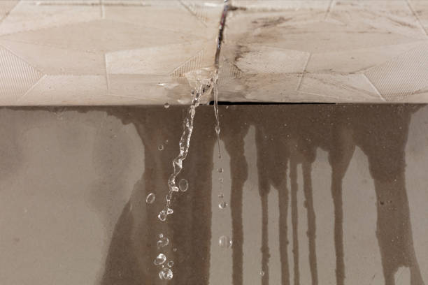 Professional Flood Damage Cleanup technician working in Steptoe, WA